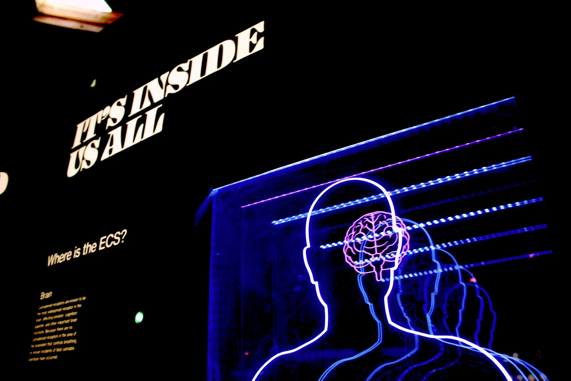 A neon wire-frame sculpture of a human head and torso with a glowing pink brain, lit blue against a black wall. Above it, large type reads IT'S INSIDE US ALL, and a smaller panel asks Where is the ECS?